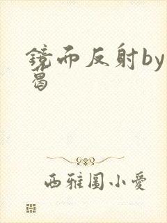 镜面反射by九葛