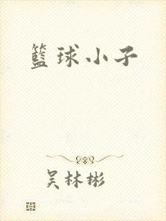 篮球小子封面