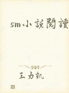 sm小说阅读