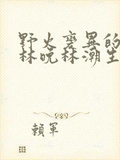 野火变异的父爱林晚林潮生封面