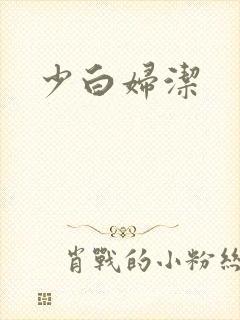 少白妇洁封面
