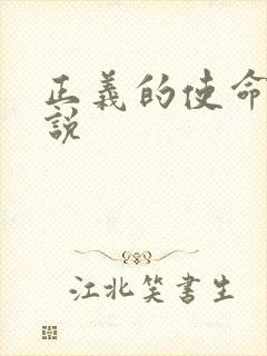 正义的使命 小说