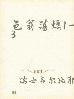 色翁荡熄1—13封面