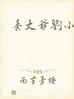 秦大爷刘小静封面