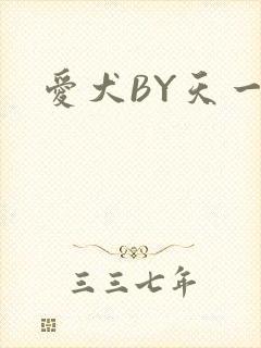 爱犬BY天一