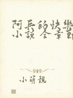 阿兵的快乐生活小说 全章节阅读免费