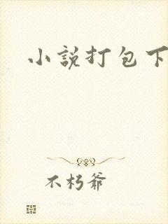 小说打包下载