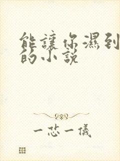 能让你湿到不行的小说封面