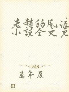 老赵的风流人生小说全文免费阅读封面