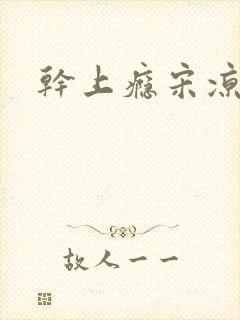 干上瘾宋凉向周封面