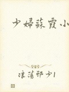 少妇苏霞小说封面