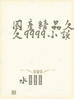 国产精品久久久久9999小说