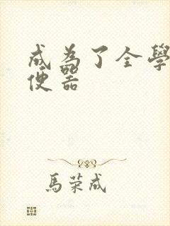 成为了全学校坐便器