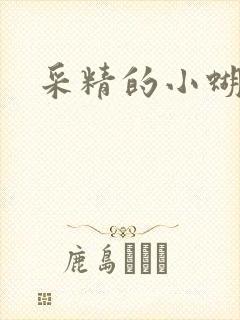 采精的小蝴蝶