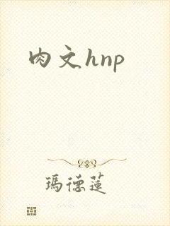 肉文hnp