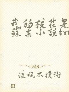 我的校花是福姬苏柔小说txt封面