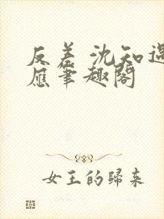 反差 沈知遇晏应笔趣阁