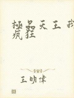 极品天王 我本疯狂