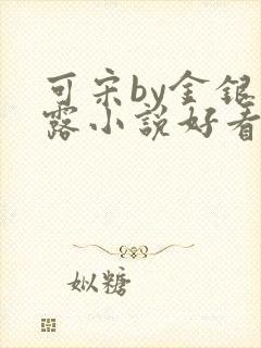 可宋by金银花露小说好看吗