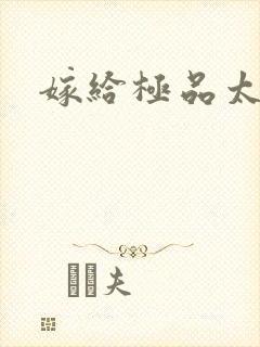 嫁给极品太子封面