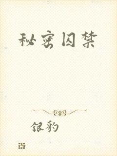 秘密囚禁封面