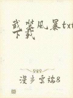 武装风暴txt下载