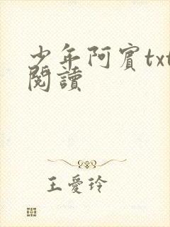 少年阿宾txt阅读
