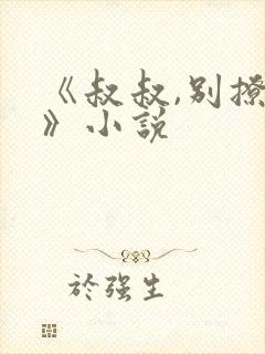 《叔叔,别撩我》小说