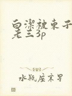 白洁被东子老二老三3p