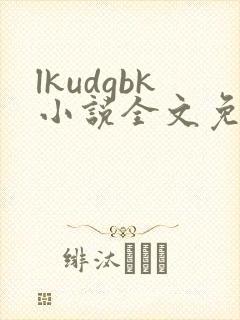 lkudgbk小说全文免费阅读笔趣阁无弹窗封面