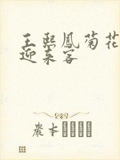 王熙凤菊花门初迎来客封面