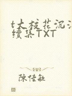 t大校花沉浮录续集TXT封面