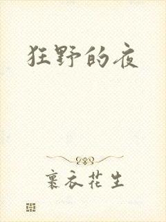 狂野的夜