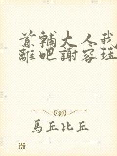 首辅大人我们和离吧谢容珏