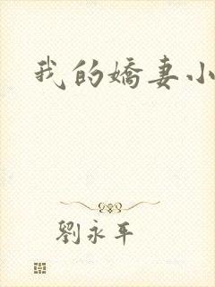我的娇妻小说封面