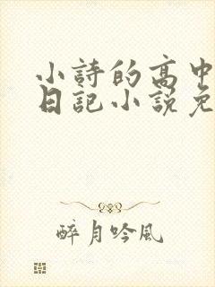 小诗的高中成长日记小说免费阅读