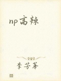 np高辣