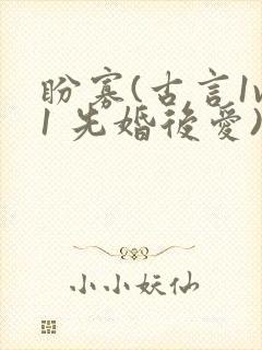 盼寡(古言1v1 先婚后爱)