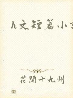 h文短篇小说封面