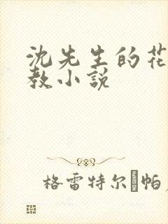 沈先生的花式调教小说封面