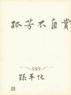 孤芳不自赏小说