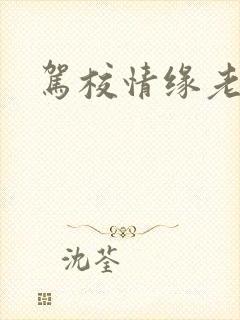 驾校情缘老赵封面