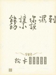 能让你湿到不行的小说封面