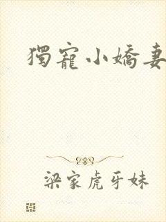 独宠小娇妻