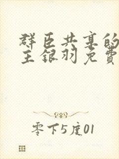 群臣共享的小公主银羽免费阅读