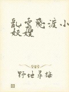 乱云飞渡小说之姣嫂