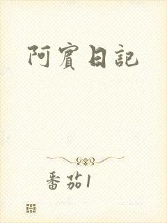 阿宾日记