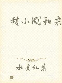 赵小刚和宋雨晴