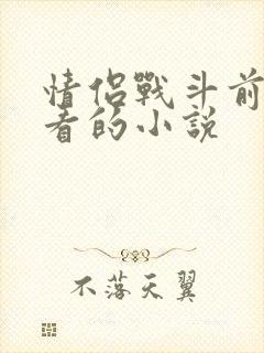 情侣战斗前适合看的小说封面