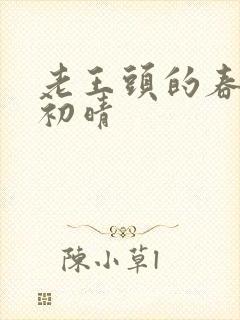 老王头的春天林初晴封面